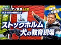 【スウェーデン】ストックホルムで犬の教育現場を見学!到着初日の視察記録
