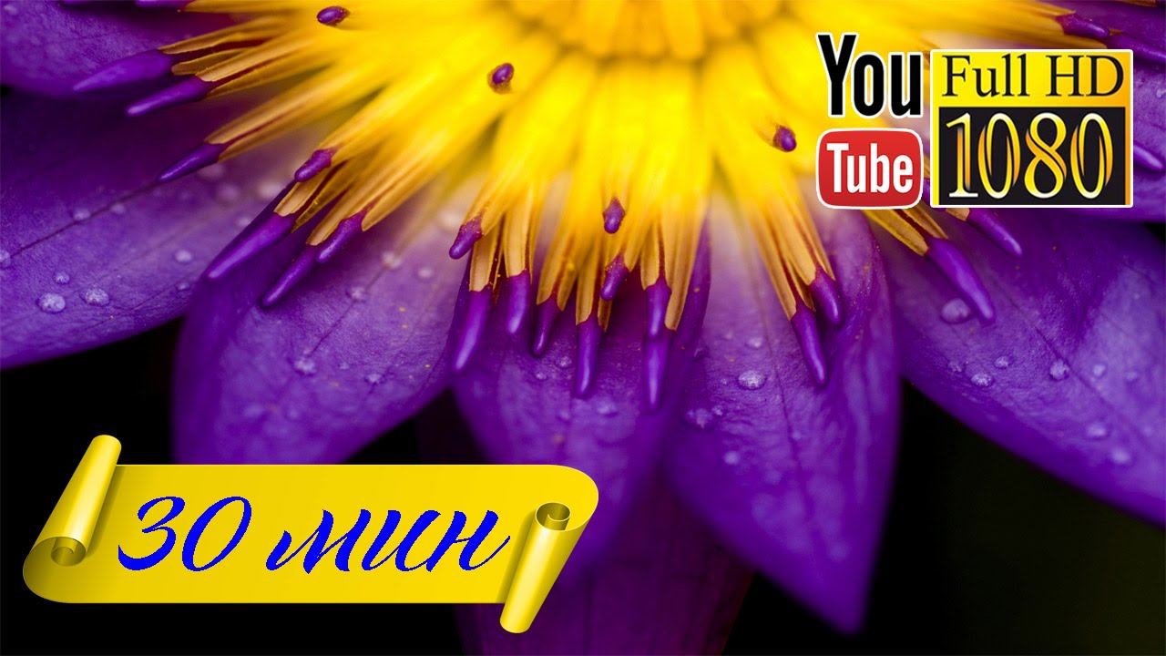 HD Музыка Лаунж Звуки Природы Альфа Ритм Расслабление Отдых - YouTube