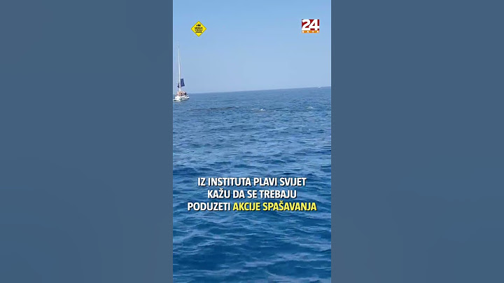 Nevjerojatan prizor kitova kod Korčule: 'Nemojte im se približavati'