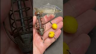 Rigging a carp rig #fishing #shorts