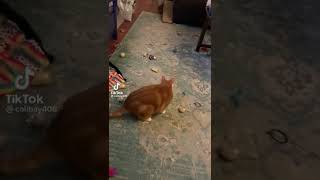 You Know What To Do With That Big Fat