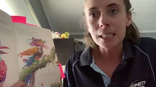 “Feathers for Phoebe” by Rod Clement