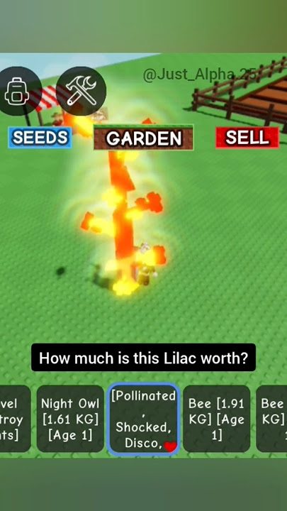 How Much Lilac with 7 Mutation? Roblox Grow A Garden