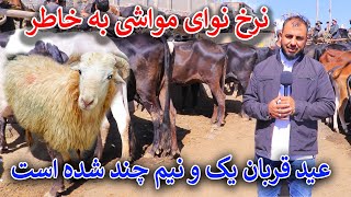 آمد آمد عید قربان/گزارش غضنفری از مال بازار،قیمت یک رس گوسفند،بز و گوساله 4دندانه چند خواهد بود؟