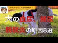 犬の血尿や頻尿　〜よくある犬の膀胱炎の症状と原因8選〜【獣医師がやさしく解説】