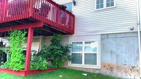 Throwing Things In Reverse