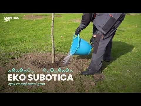 Eko Subotica: Jysk