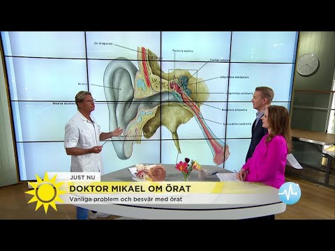 Video: Hur man desinficerar öronproppar (med bilder)