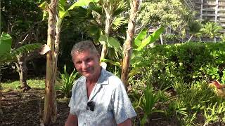 Sonnenmangel macht dumm! Claudius Fabig berichtet von Kaanapali, Maui - Hawaii!