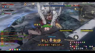 Eternal Chasm Lv59 Vanguard - Revelation Online