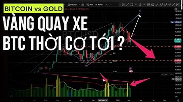 Tuần ĐẦU TIÊN QUÝ 2, Bitcoin và Vàng: vị thế thay đổi khi cá mập chốt lời  !? | Shark Hunting