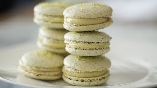 Pistachio Macarons | Byron Talbott