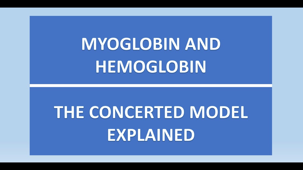 Myoglobin and Hemoglobin - Concerted Model - YouTube