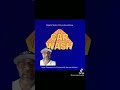 Covering another Album Cover: Rose Royce Car Wash