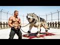Kung Fu Fight Film: Fighting like a wild wolf, he defeats all rivals to become the DESERT WAR GOD!