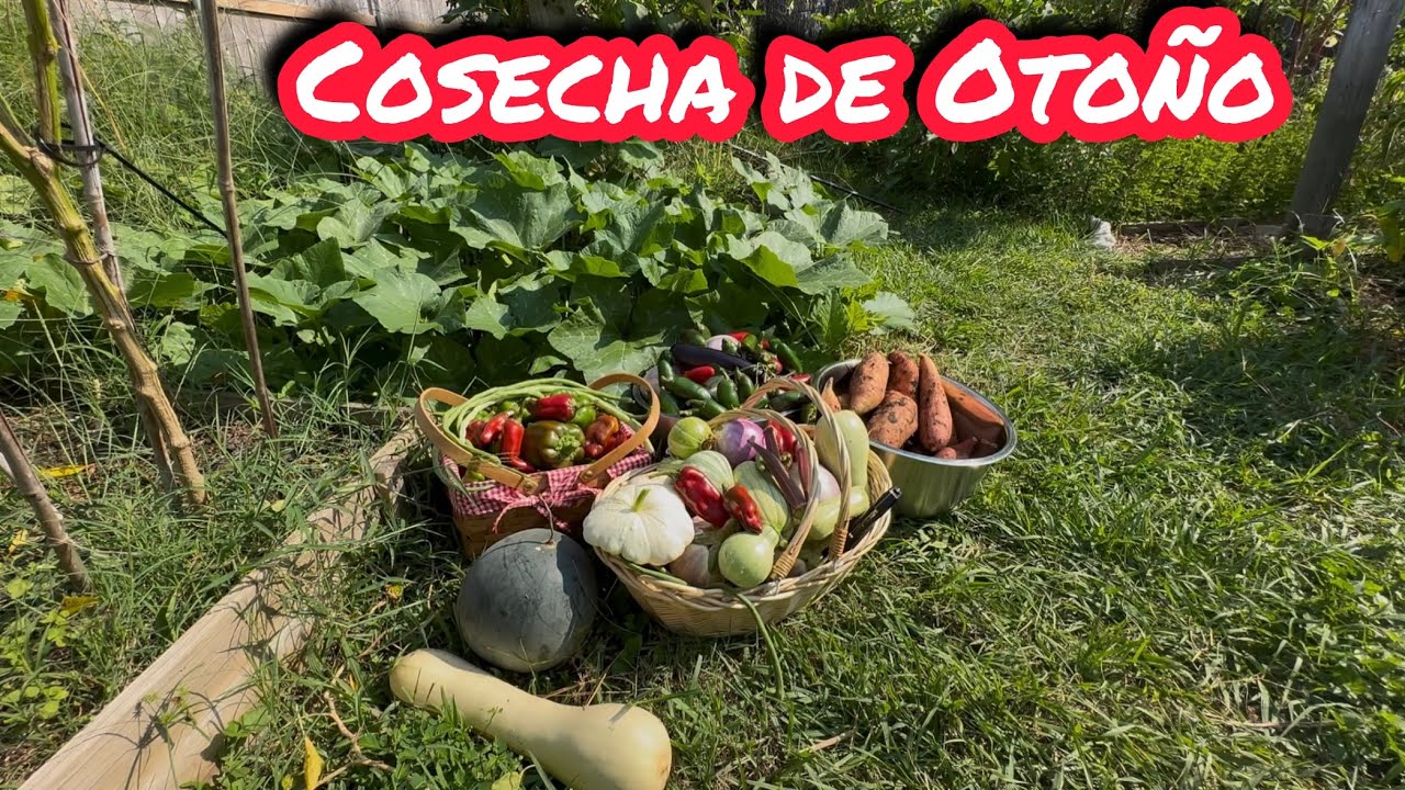 Paseo por la Huerta en Otoño 