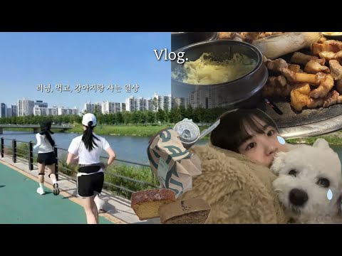 [VLOG] 프리랜서 일상, 3일을 담은..! 나의 하루☁️