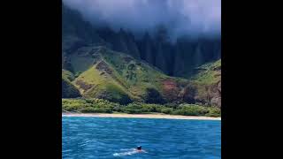 Waialeale is an ancient extinct shield volcano located on the island of Kauai, Hawaii, Hawaii. ?