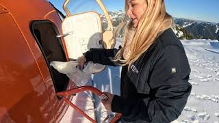 Ep.59 We decided to get a Christmas tree but we almost couldnt lift it
If you would like to know more about helicopter training you can visit our website at BC Helicopters
https://www.bchelicopters.com/
Video Content Editor: Sancho Gelb
Visit us on the socials:
Insta: @bchelicopters
TikTok: @bchelicopters
All of our music is from Epidemic Sound
https://www.epidemicsound.com/music/featured/ Ep.59 We decided to get a Christmas tree but we almost couldnt lift it