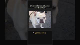O Passado Secreto do Buldogue Francês em Paris #Shorts
