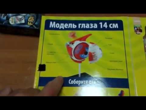 Глаз Анатомический набор 14 см. EDU-TOYS
