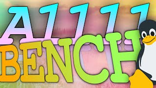 Stable Diffusion GPU Benchmark