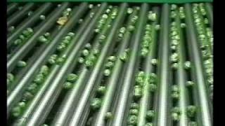AllroundVP Radial Grader Zigory