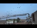 العريشه الي شبه مهجوره انتاجها بدا يزيد الحمد الله🕊️😍👍