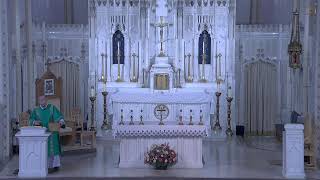 Holy Mass -15th Sunday of Ordinary Time -  (7-12-2026) - The Cathedral of St Peter, Kansas City, KS