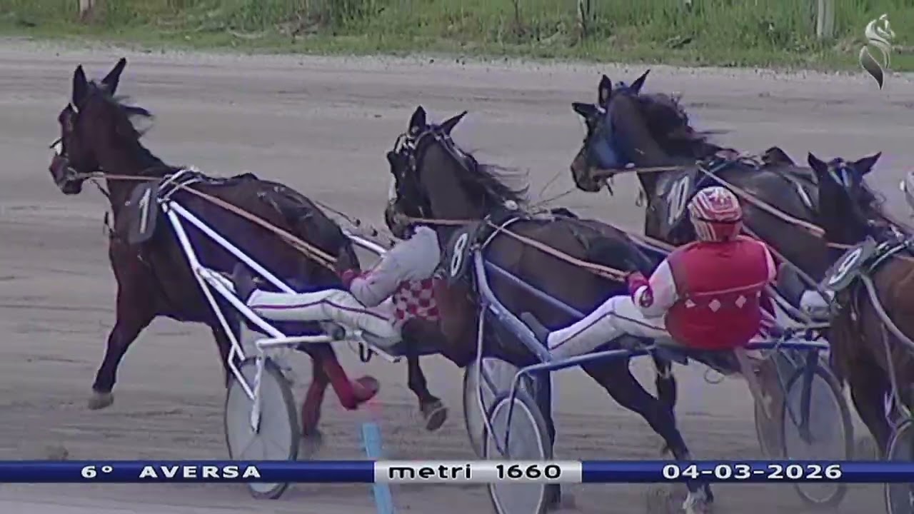 Aversa trotto 4 Marzo 2026 - 6° Corsa