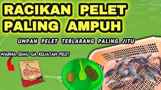 SADISNYA UMPAN DADAKAN PELET TERLARANG SPESIAL LOMBA ❗❗ RACIKAN UMPAN IKAN MAS PALING JITU & AMPUH ❗