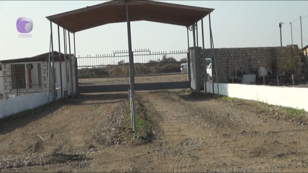 Heyvan bazarları bu şərtlərlə açıla bilər