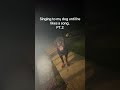 #singing #pt2 #dogcommunity