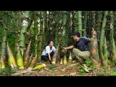 Harvest the world's largest bamboo shoot, Building a new life, farm life, Day 185