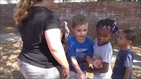 Playground  Problem Solving  - Solution Kit - Timer