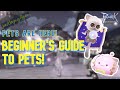 [Ragnarok Origin] A Beginner's Guide to the New Pet System for Ragnarok Origin |RO Origin Guide|
