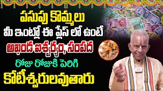 పసుపు కొమ్ములు ఇంట్లో ఈ ప్లేస్ లో ఉంటే కోటీశ్వరులవుతారు.. Pasupu Tkv Raghavan - Dharma Sandehalu