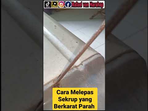 Video: Cara Memilih Buluh untuk Klarinet: 6 Langkah (dengan Gambar)