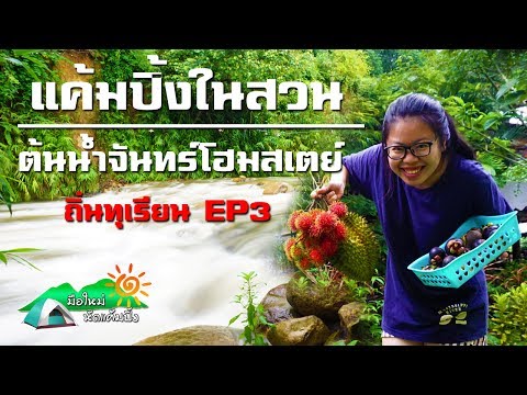 ถิ่นทุเรียน EP3 กางเต็นท์ ในสวน บ้านต้นน้ำจันทร์โฮมสเตย์ จันทบุรี l มือใหม่หัดแค้มปิ้ง