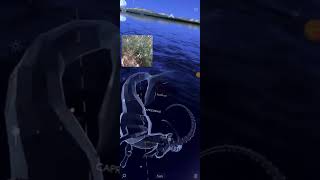 Dalia Spring Stream נחל דליה And Star Walk 2 Of Today Underneath A Tree, Wish Good Luck