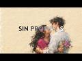 Sin Promesas I OFFICIAL VISUALIZER VIDEO I  ZUVIT