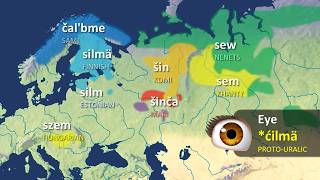 How Similar Are The Uralic Languages? Hungarian, Finnish, Estonian and more