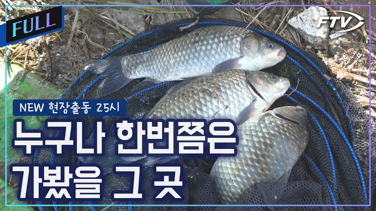 한번쯤은 거쳐갔을 법한 그 곳의 조황 [NEW현장출동25시/13회]