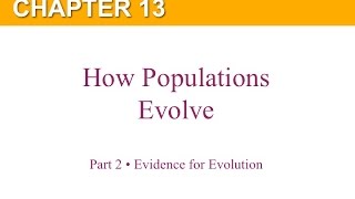 Chapter 13 Part 2 Evidence for Evolution