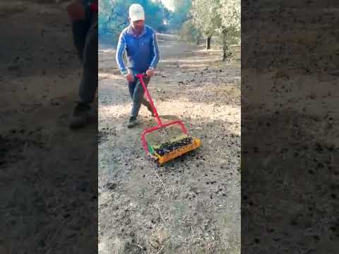 جبنالكم اسهل طريقة لجمع الزيتون عن الارض