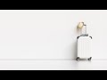 Minimalist travel packing light and traveling smart