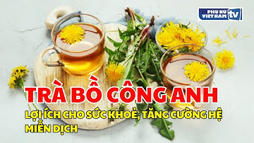 Lợi Ích Không Ngờ Từ Việc Uống Trà Bồ Công Anh Mỗi Ngày