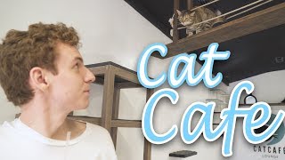 Cloud9 Vlog | Cat Cafe Cloud9 Vlog | Cat Cafe