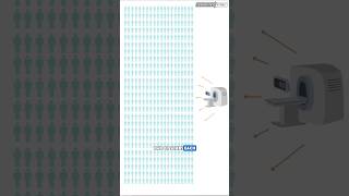 The Radiation Math That Makes No Sense and Misled Millions #collectivedose #nuclear #radiation #lnt