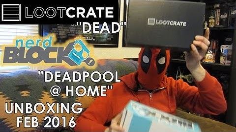 February Unboxing _ Loot Crate & Nerd Block